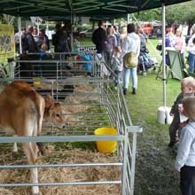 Fishers Mobile Farm @ Chorley FunDay